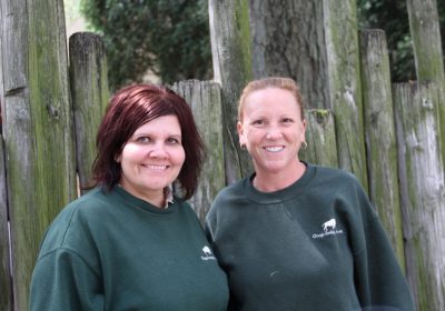 Stewards Spotlight: Lisa McAuliffe and Carrie Sapienza of the Chicago Zoological Society