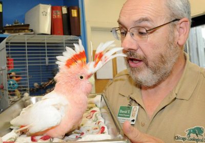 Local 727 Honors Longtime Brookfield Zoo Member and Former Steward Dave Thornton