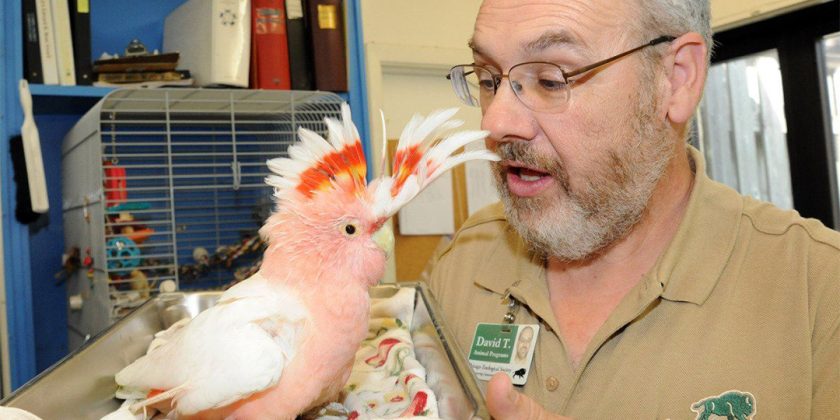 Local 727 Honors Longtime Brookfield Zoo Member and Former Steward Dave Thornton