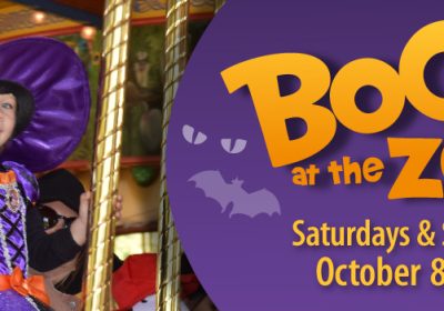 Boo at the Zoo Returns to Chicago Zoological Society’s Brookfield Zoo!