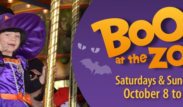 Boo at the Zoo Returns to Chicago Zoological Society’s Brookfield Zoo!