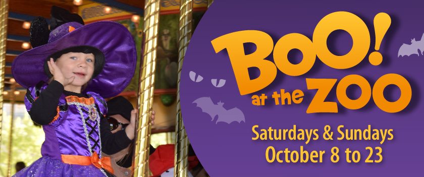 Boo at the Zoo Returns to Chicago Zoological Society’s Brookfield Zoo!